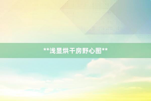 **浅显烘干房野心图**