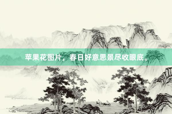 苹果花图片，春日好意思景尽收眼底。